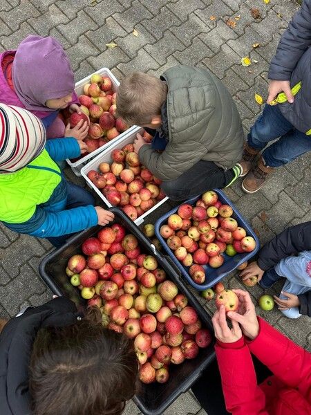 whatsapp_image_2025-10-22_at_12.38.031