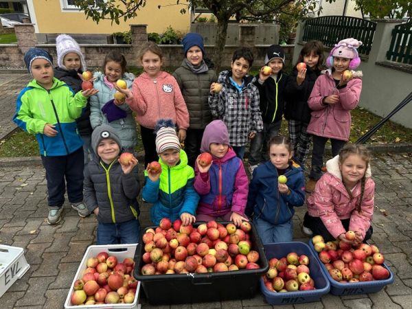 whatsapp_image_2025-10-22_at_12.38.032