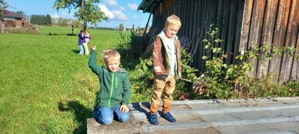 bild1