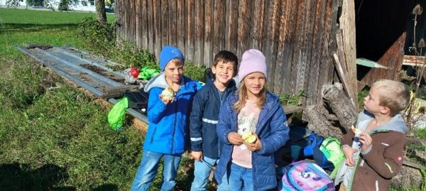 bild11