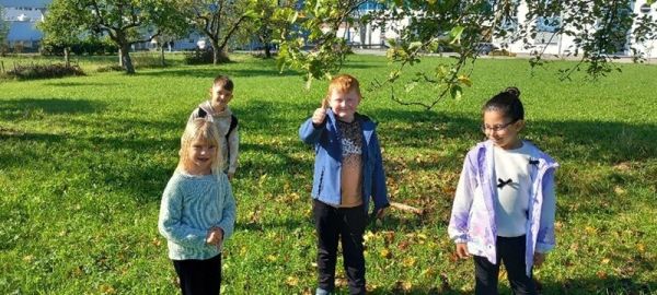 bild9