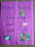 lapbook_huhn_2